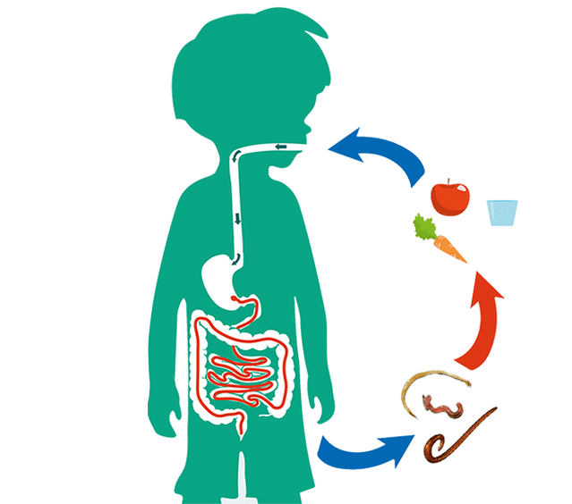 parazitlerin insan enfeksiyon yolları